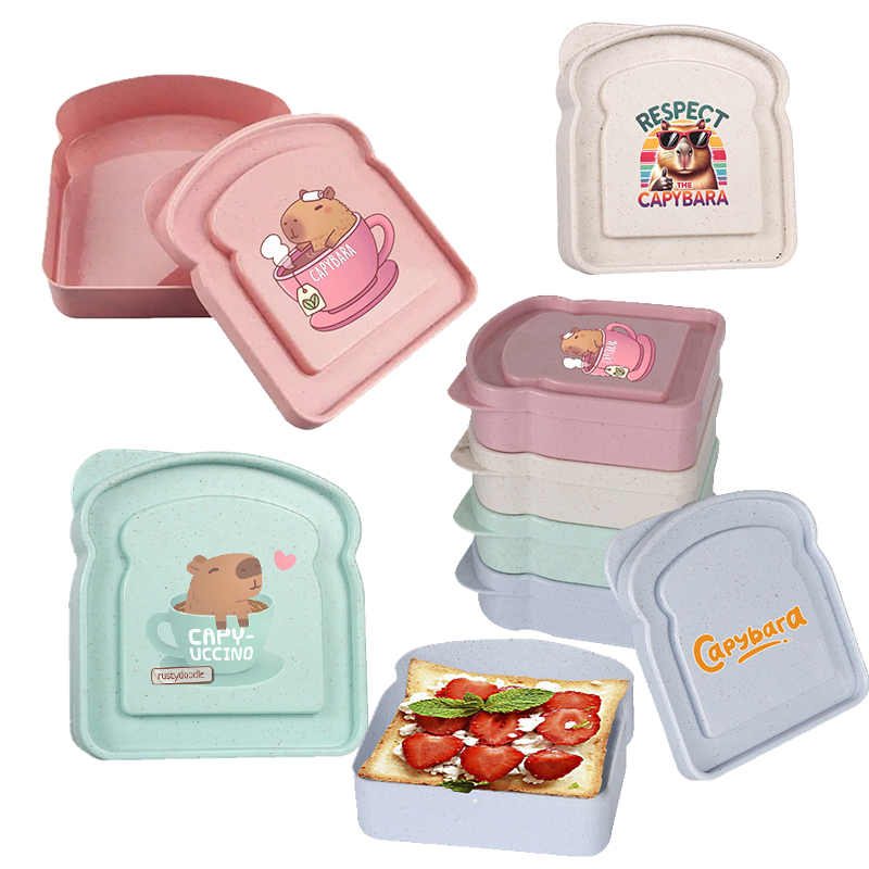 Food Storage Boxes - กล่องเก็บอาหารลายคาปิบารา สำหรับใส่แซนวิช สลัด ผลไม้ ขนม กล่องอาหารกลางวันแบบมีฝาปิด