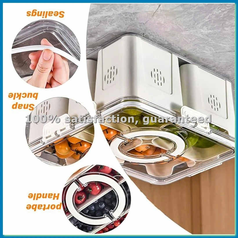 Food Storage Boxes - ถาดใส่ผลไม้สำหรับปิกนิกขนาดใหญ่ กล่องเก็บอาหารในตู้เย็น กล่องใส่ของว่างแบบโปร่งใสในครัว 4 ช่อง-ABLL