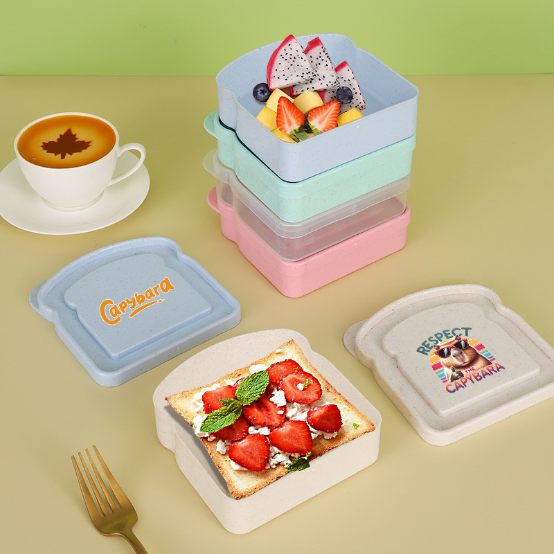 กล่องเก็บอาหารลายคาปิบารา สำหร - Food Storage Boxes บทวิจารณ์และราคา