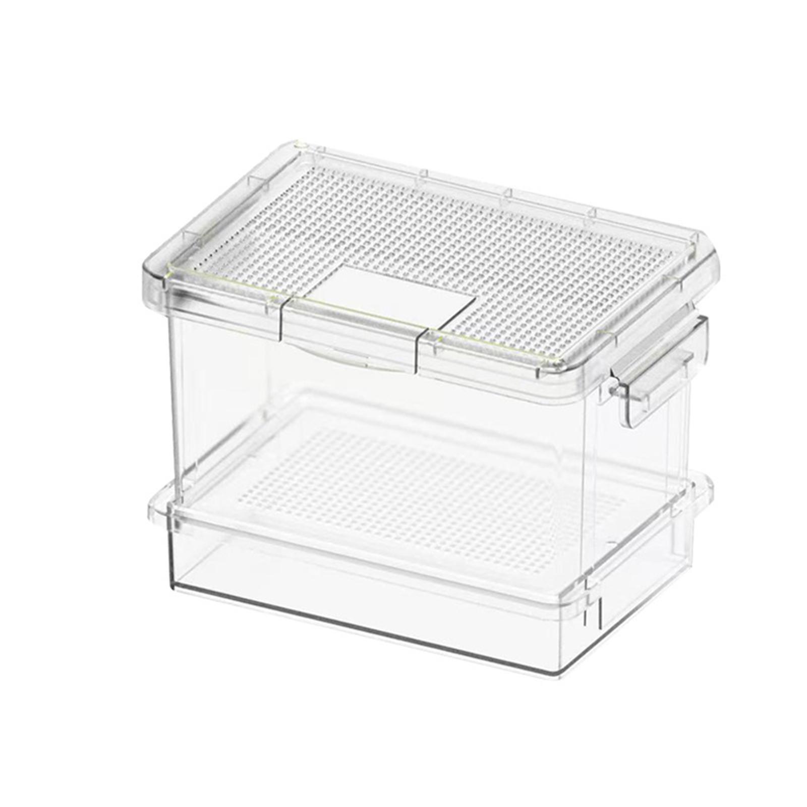 กล่องป้อนอาหารเต่าพลาสติก กล่อ - Food Storage Boxes บทวิจารณ์และราคา